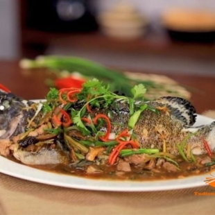 Cá Nhám Hấp Mỡ Hành/ Tàu Xì 