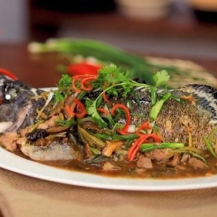 Cá Mú Chưng Tương Hột/ Hấp Hành Gừng 