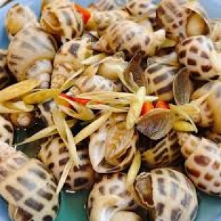 Ốc Hương Hấp Thái